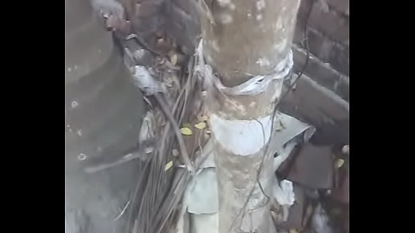 Bangladeshi Meyeder Gosol Video