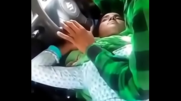 Punjabi Car Sex